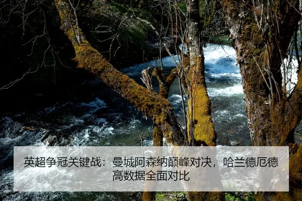 ying-chao-zheng-guan-guan-jian-zhan-man-cheng-a-sen-na-dian-feng-dui-jue-ha-lan-de-e-de-gao-shu-ju-quan-mian-dui-bi-2-158.jpg