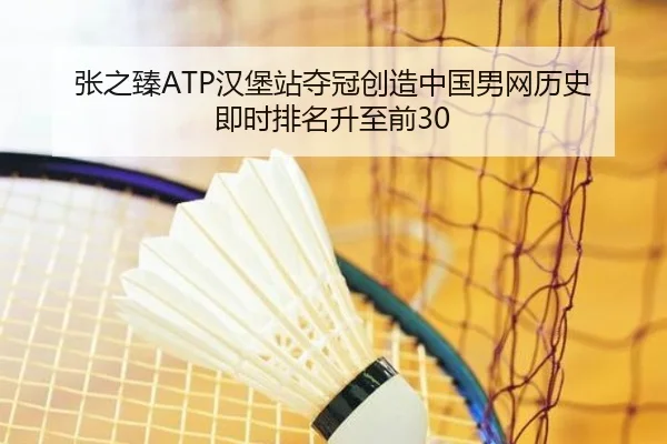 张之臻ATP汉堡站夺冠创造中国男网历史 即时排名升至前30